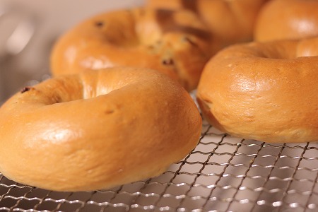 わっぱ堂のふわもちベーグル3ヶ月≪定期便≫　8個×3ヶ月　 H049-035