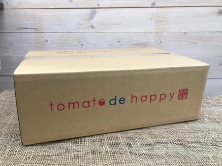 【2026年度予約分】【お試し】まるでトマトの宝石箱！フルーツジュエリートマト 約800g 長田農園 産地直送 トマト とまと 野菜 やさい フルーツ サラダ 濃厚 甘い ご褒美 プレゼント 美容 健康 リピート多数 人気 高評価 先行受付 数量限定 碧南市 H004-115