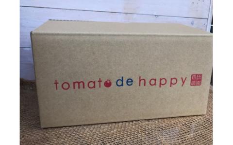 【個数限定】毎日の習慣に!トマト100％贅沢なトマトジュース 6回定期便　H004-165