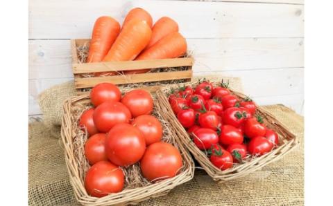 金賞受賞 大好評 1月〜6月毎月発送 6か月楽しめる 長田農園 旬 スペシャル 定期便 6回 ジュエリートマト トマトベリー さくらんぼトマト フルーツトマト ミニトマト トマトジュース にんじん 新たまねぎ セット 野菜 新鮮 産地直送 愛知県 碧南市 送料無料 H004-166