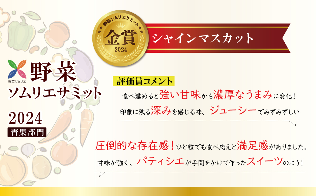 【2026年発送】特大房！ みなさんの応援から大きく実った特大シャインマスカット 800g以上（1房）【数量限定】 フルーツ H004-152