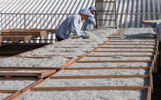 【半年定期便 隔月 全3回】便利！ しらす屋のしらす干し 小分けタイプ 630ｇ（70g×9p） 魚介類 しらす シラス 国産 海の幸 ご飯のお供 おつまみ しらす丼 グルメ ギフト 贈り物 やみつき 冷凍 小分け H006-092