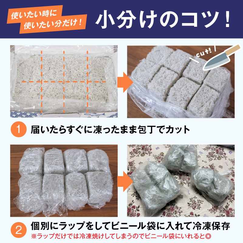 【12月24日受付分まで年内発送】訳あり こモリ1kg！バラエティ豊富な三河しらす～海の仲間たち～　H018-046