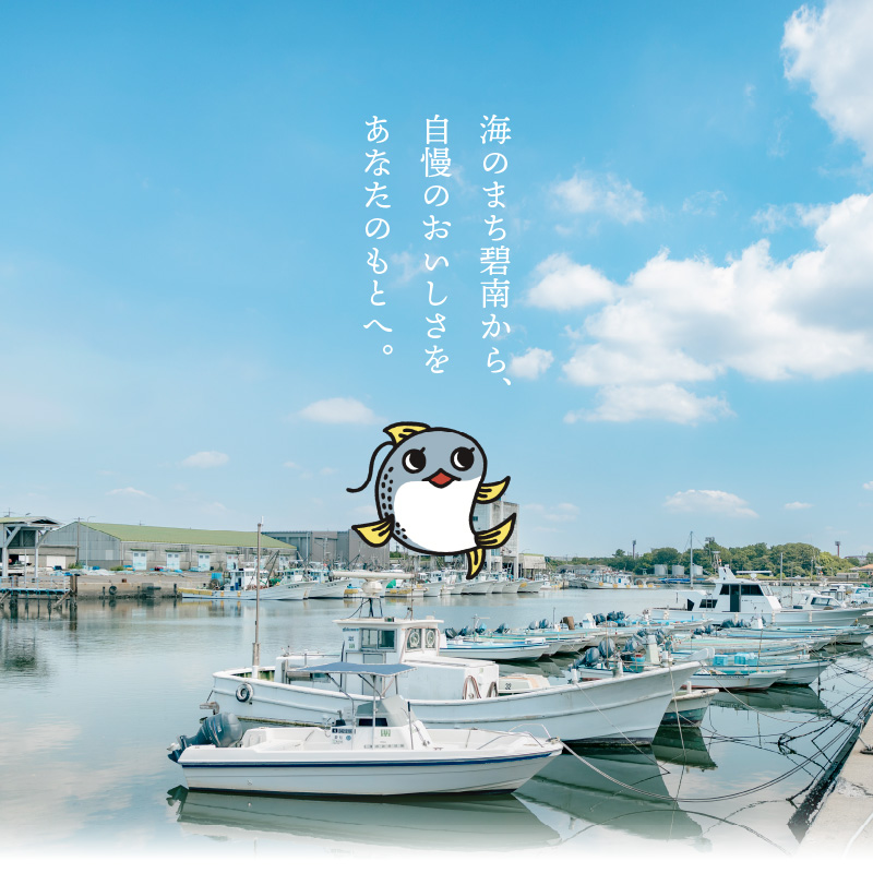 酢〆専門店のこだわり定期便 7種×隔月3回　H021-063