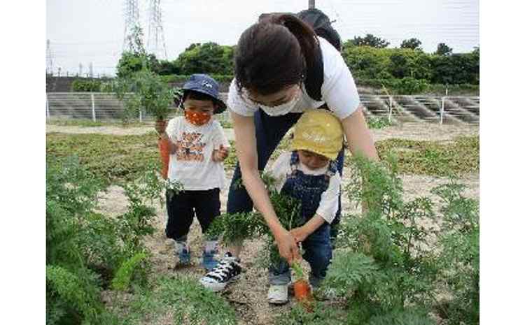 【旬のお野菜・もぎとり体験チケット 4,500円分】何名様でもご利用可能！ 野菜 農業体験 収穫 畑 農園 チケット 体験 プレゼント H025-011