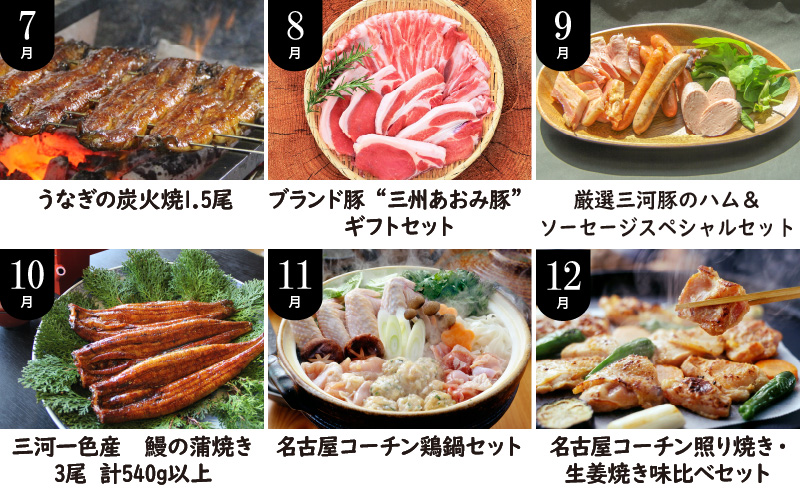 【全12回】厳選！うなぎとお肉の定期便(毎月お届け）H028-076