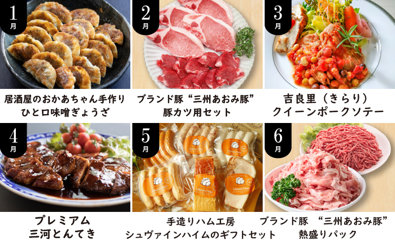 【全12回】厳選！お肉づくめの定期便　H028-081