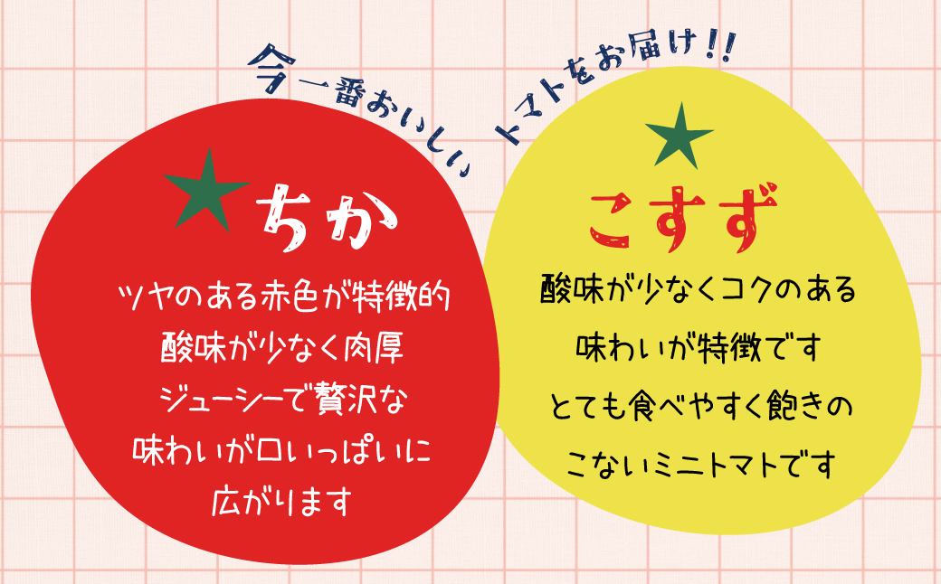【内閣総理大臣賞受賞】毎日食べたくなるミニトマト３kg 農林水産大臣賞受賞 日本農業賞大賞受賞 H031-005