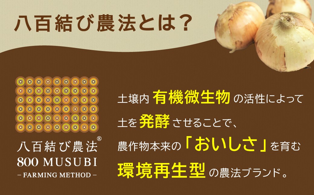 甘さと栄養で体も笑う武ちゃん農場の“ハッピーキャロット 4㎏　H095-021