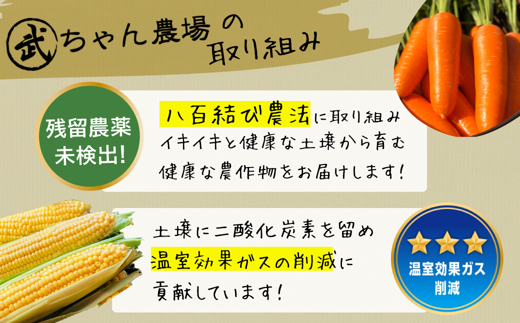 【2026年発送】朝採り直送 メロンより甘い 生とうもろこし“にっこりコーン” 10本　H095-026