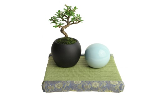 ミニたたみ（正角小） 畳 小型 花台 展示用畳 正方形 おしゃれ 正角 小 置物 小畳 いぐさ風 ミニ畳 置き イ草 H100-100