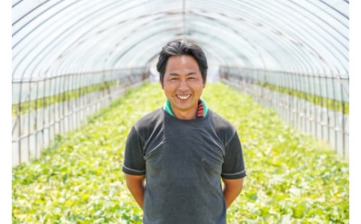 【2026年発送】甘さを追求したすいか「金色羅皇」1玉 すいか 甘い すいか1玉 果物 フルーツ　H141-014