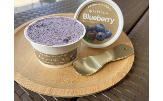 甘熟いちじくとブルーベリーのプレミアムジェラートセット 各1個 碧南市産 甘熟 いちじく 完熟 ブルーベリー 贅沢 スイーツ デザート おやつ カップ 6種 食べ比べ チーズ ミルク ヨーグルト H164-012