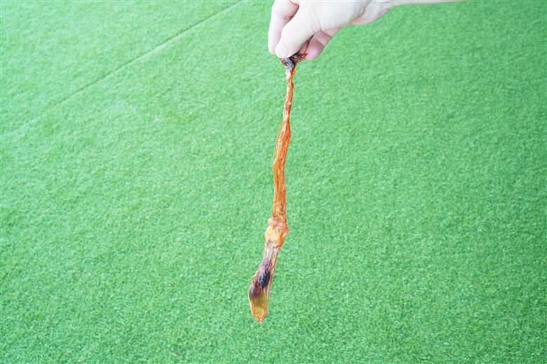 【獣医師手作り】無添加 ペット用 アキレスくんせい (大サイズ) 計300g　ジャーキー ストレス解消 歯磨き効果 燻製 犬 猫 やみつき おやつ ご褒美 馬肉アキレスを使用 H191-002