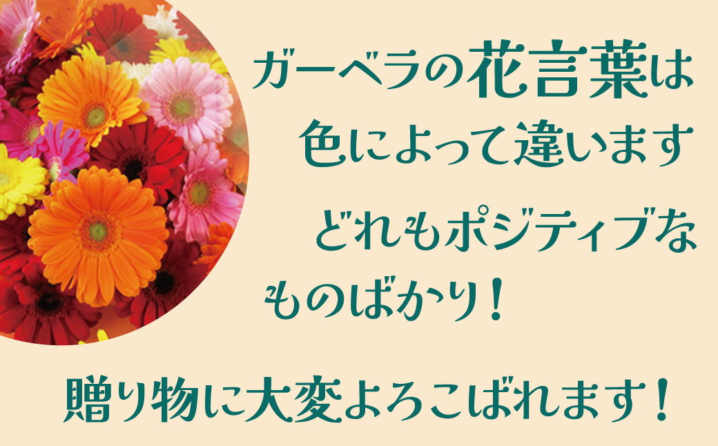 【ラッピング付】生花 レッドガーベラ の花束 50本 日付指定可能 ギフト プレゼント ラッピング 産地直送 インテリア お花 フラワー ボリューム満点 H193-015