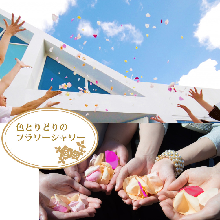 〈日付指定も可能〉 観賞はもちろん！バラ風呂やフラワーシャワーに！ ローズインにゅーよーくミックス３０輪 バラ３０輪詰め合わせ 風呂 薔薇 ローズ ギフト プレゼント ラッピング インテリア お花 フラワー H193-021