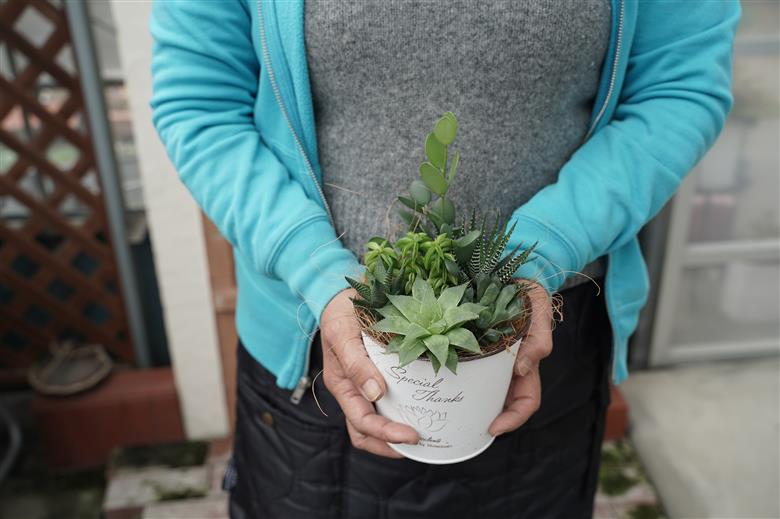 多肉植物６種【令和元年 農林水産大臣賞受賞】ブリキバケツ型室内用の鉢植えインテリア プレゼント ギフト 癒し H195-001