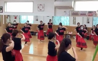 フラダンスレッスン 体験利用券【１名様1回分】 美容 健康 ダイエット デトックス レッスン 体験 入門 講座 チケット 利用券 碧南市 H197-001