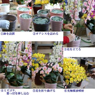 綺麗で丈夫な三河陶器で贈る光触媒胡蝶蘭小輪５本立（白の陶器×白色の花）H100-078