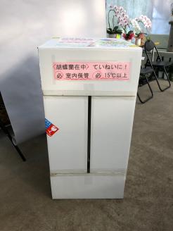 胡蝶蘭 白 3本立　３６輪以上　H042-012