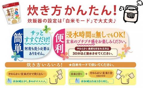 やわらかい玄米 900g ※12回定期便 安心安全なヤマトライス H074-534