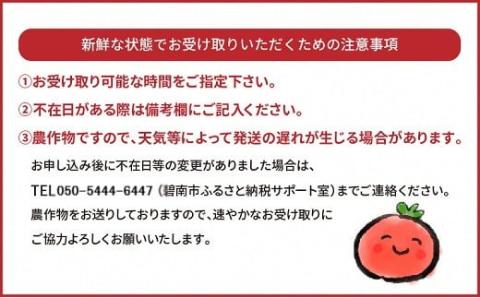 【2026年発送】特大房！ みなさんの応援から大きく実った特大シャインマスカット 800g以上（1房）【数量限定】 フルーツ H004-152