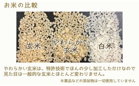 【12月14日受付分まで年内発送】やわらかい玄米 新潟県産コシヒカリ 900g×4袋　安心安全なヤマトライス　H074-684