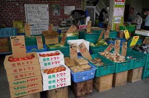 目利きのプロ 八百屋厳選 野菜詰め合わせセット（8～10種類お届け）　H151-010