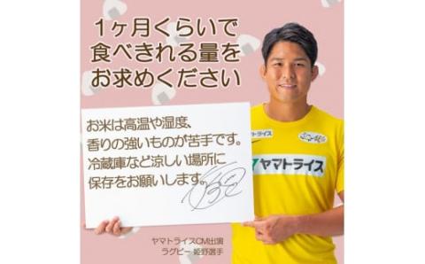 【12月18日受付分まで年内発送】（数量限定）【すぐにお届け&日時指定可】 愛知県産コシヒカリ 10kg(5kg×2袋)　こめ コメ ごはん 安心安全なヤマトライス 米 白米 国産 精米 10キロ 新米 令和7年 H074-688