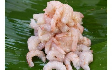 高級 究極 こだわり 海老 せんべい えびせん 詰め合わせ 贈り物 ギフト「千歳のえび16袋」　H011-098