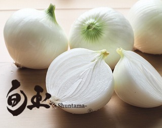 旨みと甘み　新玉ねぎ白しょうゆソース「はくの碧」(300ml×2本)　素材の旨みとコクを凝縮した万能調味料　化学調味料不使用　H105-159