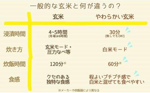 やわらかい玄米 900g×20袋　※定期便12回　安心安全なヤマトライス　H074-635