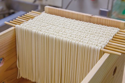 メディア紹介多数！大磯屋製麺所の熟成焼そば（深蒸し仕立て） 20食(中太麺) ナポリタンソース2本付き　H014-037