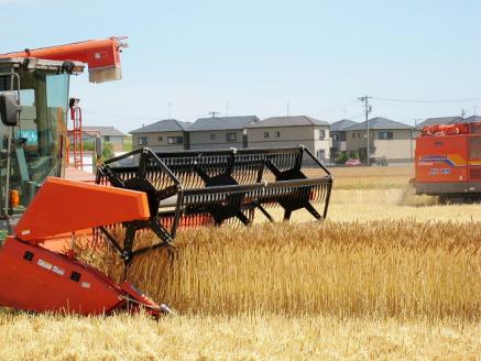 愛知県産 パン用 小麦粉 ゆめあかり 2.5kg × 4袋 計 10kg 3回 国産 強力粉 ブランド 小麦 強力系小麦粉 ふわふわ もっちり 甘味 チャック付き パン ホームベーカリー ベーグル 食パン お取り寄せ 愛知県 碧南市 送料無料 H008-253