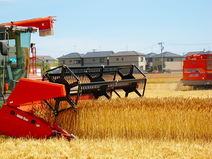 【まるや八丁味噌使用】 キリマル 味噌煮込みうどん 1食詰×12袋 H008-217