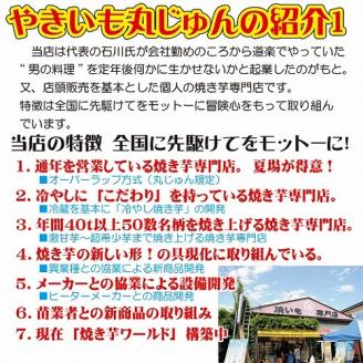 焼き芋 冷凍 冷やし焼き芋 シャリシャリちゃん 1kg(100g×10) 紅はるか＆シルクスイート　H047-033