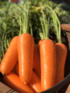 【食品ロス削減】甘さと栄養で体も笑う武ちゃん農場の“ハッピーキャロット” 5㎏　H095-022