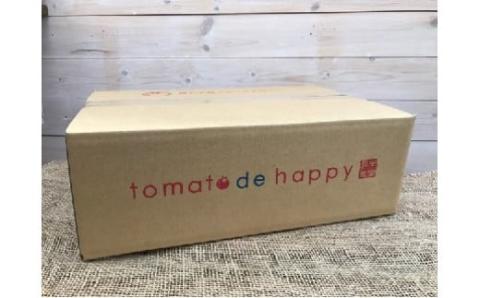 予約受付 個数限定 新食感 トマト さくらんぼトマト ミニトマト ぷちぷよ 約1kg 定期便 6回 野菜ソムリエサミット 金賞 受賞 産地直送 野菜 フルーツ サラダ 濃厚 ツヤツヤ ぷにぷに やわらかい 希少 塩農法 リコピン 長田農園 愛知県 碧南市 送料無料 H004-136