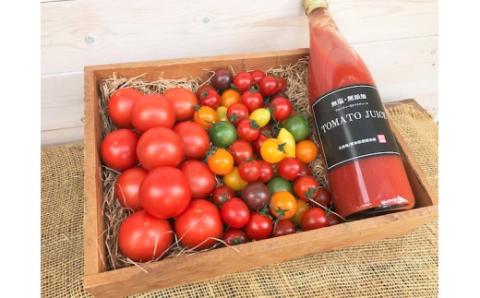 金賞受賞 大好評 1月〜6月毎月発送 6か月楽しめる 長田農園 旬 スペシャル 定期便 6回 ジュエリートマト トマトベリー さくらんぼトマト フルーツトマト ミニトマト トマトジュース にんじん 新たまねぎ セット 野菜 新鮮 産地直送 愛知県 碧南市 送料無料 H004-166