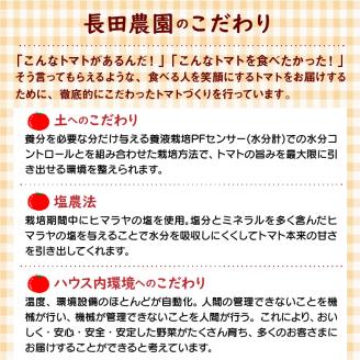 【福箱★2026】 トマトでハッピー！！長田農園の厳選トマト約1.4kg&トマトジュース720ml×1本 福箱 H004-176