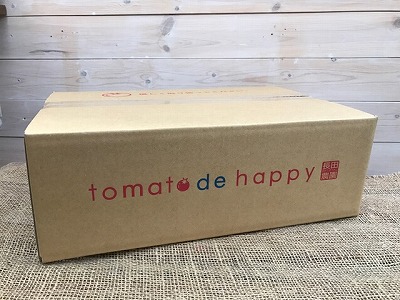 【2026年度予約分】増量約2kg！甘さ抜群!!トマト嫌いでも食べられるトマトベリー 4月～6月発送 野菜ソムリエサミット 金賞 受賞 長田農園 産地直送 トマト とまと 野菜 やさい フルーツ サラダ 濃厚 甘い ご褒美 プレゼント 美容 健康 リピート多数 人気 高評価 数量限定 碧南市 H004-147