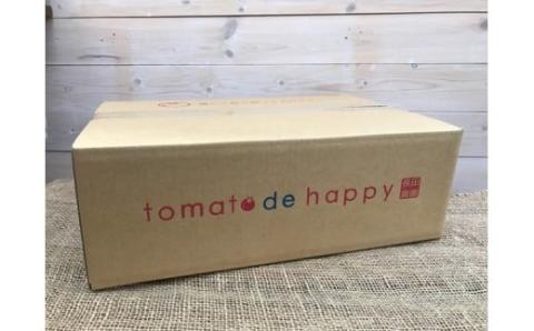 個数限定 長田農園 旬 スペシャル 定期便 毎月発送 12回 トマト ミニトマト トマトジュース 野菜ソムリエサミット 金賞 さくらんぼトマト トマトベリー 国産 野菜 詰め合わせ とうもろこし シャインマスカット にんじん 新たまねぎ 愛知県 碧南市 送料無料 H004-168