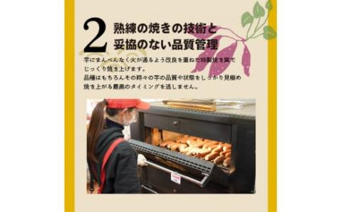 【全6回】毎月1種類ずつ届く 冷やし焼き芋定期便 約1kg×6回（計3種） 芋スイーツ H047-039