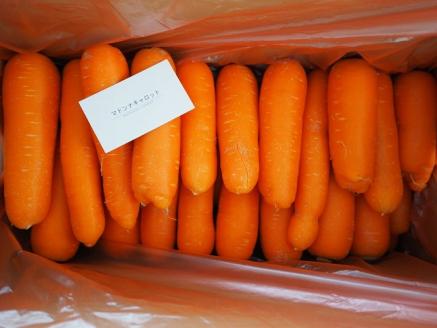 ＜フジテレビ『どっちのふるさと？』で紹介されました！＞ 訳あり 2回定期便 にんじん 1月2月お届け マドンナキャロット　H105-163