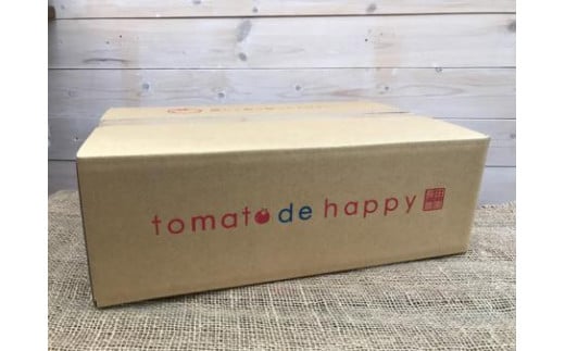 【4月～6月の定期便】トマト好き全員集合 トマト・トマト・トマト3か月お届けパック 野菜ソムリエサミット 金賞 受賞 長田農園 産地直送 トマト とまと 野菜 やさい フルーツ サラダ 濃厚 甘い ご褒美 プレゼント 美容 健康 リピート多数 人気 高評価 数量限定 碧南市　H004-173