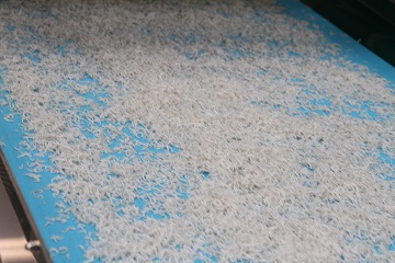 【半年定期便 隔月3回】しらす屋のしらす干し　500ｇ×3回お届け　定期便 魚介類 しらす シラス 国産 海の幸 ご飯のお供 おつまみ しらす丼 グルメ ギフト 贈り物 やみつき 冷凍 H006-089