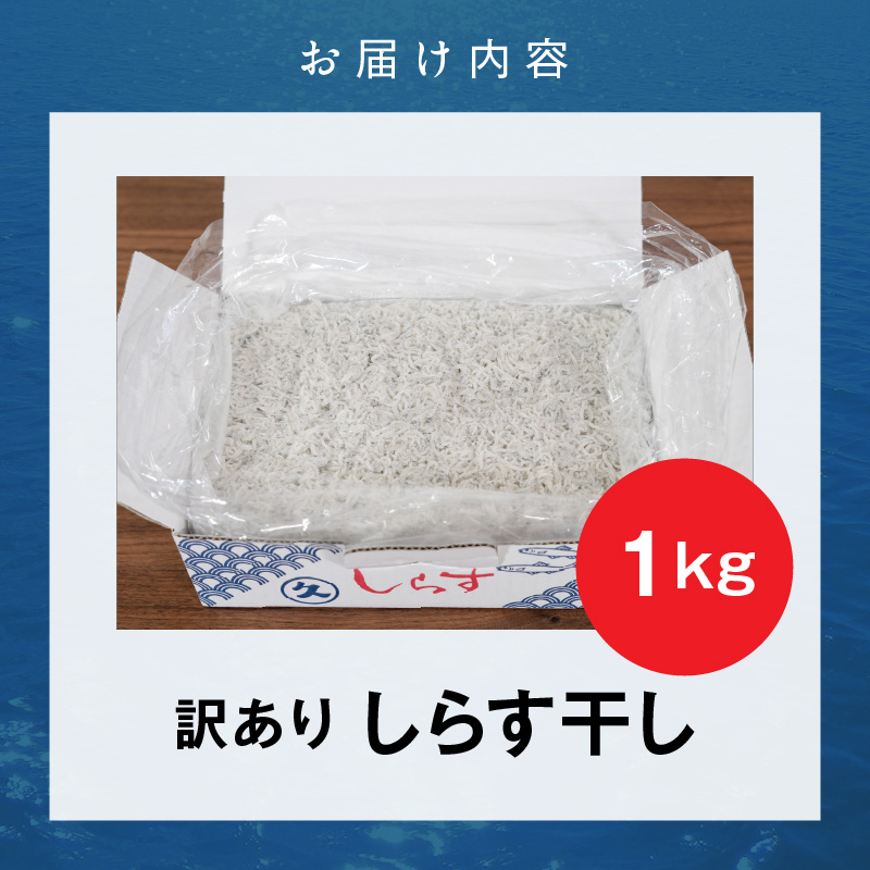 【12月24日受付分まで年内発送】訳あり こモリ1kg！バラエティ豊富な三河しらす～海の仲間たち～　H018-046