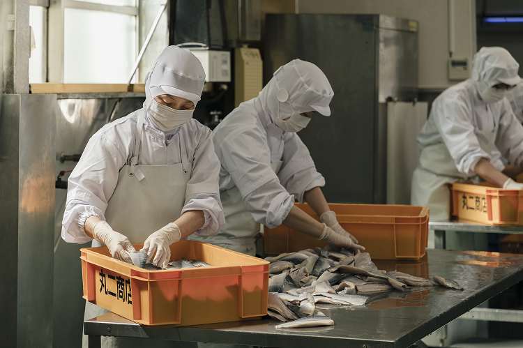 【酢〆専門店が送る】新春を祝いおせちに一品５パック入り おつまみ 酢の物 お刺身 おせち料理 小肌粟漬 こはだ粟漬 小肌 しめさば 〆鯖 酢〆 酢漬け 魚介 海鮮 お刺身風 酢〆セット おうちごはん H021-071