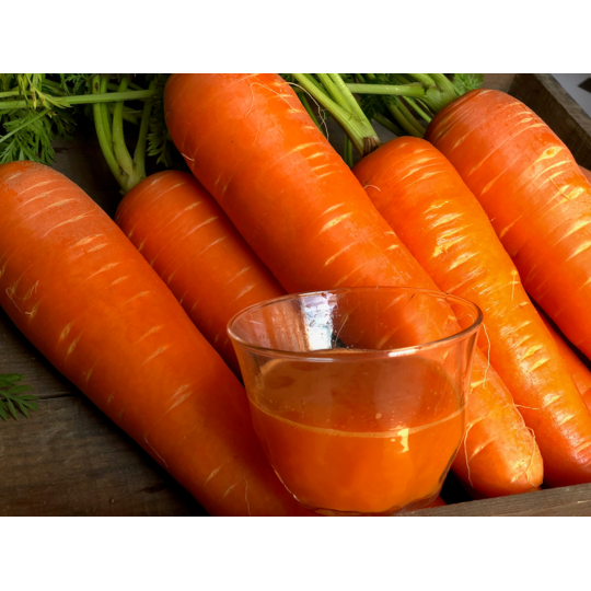 メディア出演多数！！ 【期間限定】 （ お試し ） 鈴盛農園の甘～いにんじん 『スウィートキャロットリリィ』 2kg 人参 甘い ご家庭用 ジュース サラダ スムージー ジューシー 安心 試用 自慢 H022-016