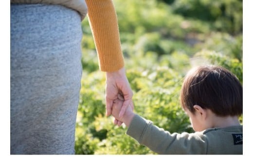 メディア出演多数！！ 【期間限定】（訳あり）鈴盛農園の甘～いにんじん 『スウィートキャロットリリィ』 5kg 人参 甘い ご家庭用 ジュース サラダ スムージー ジューシー 安心 H022-019